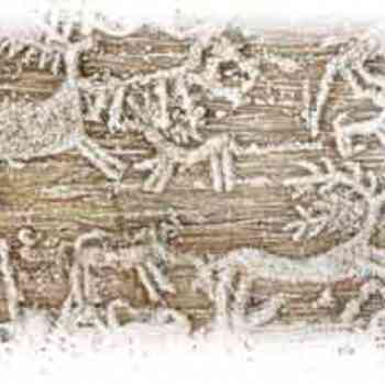 Click para ampliar. Pulsa en el nombre para ver la ficha. Ciervos